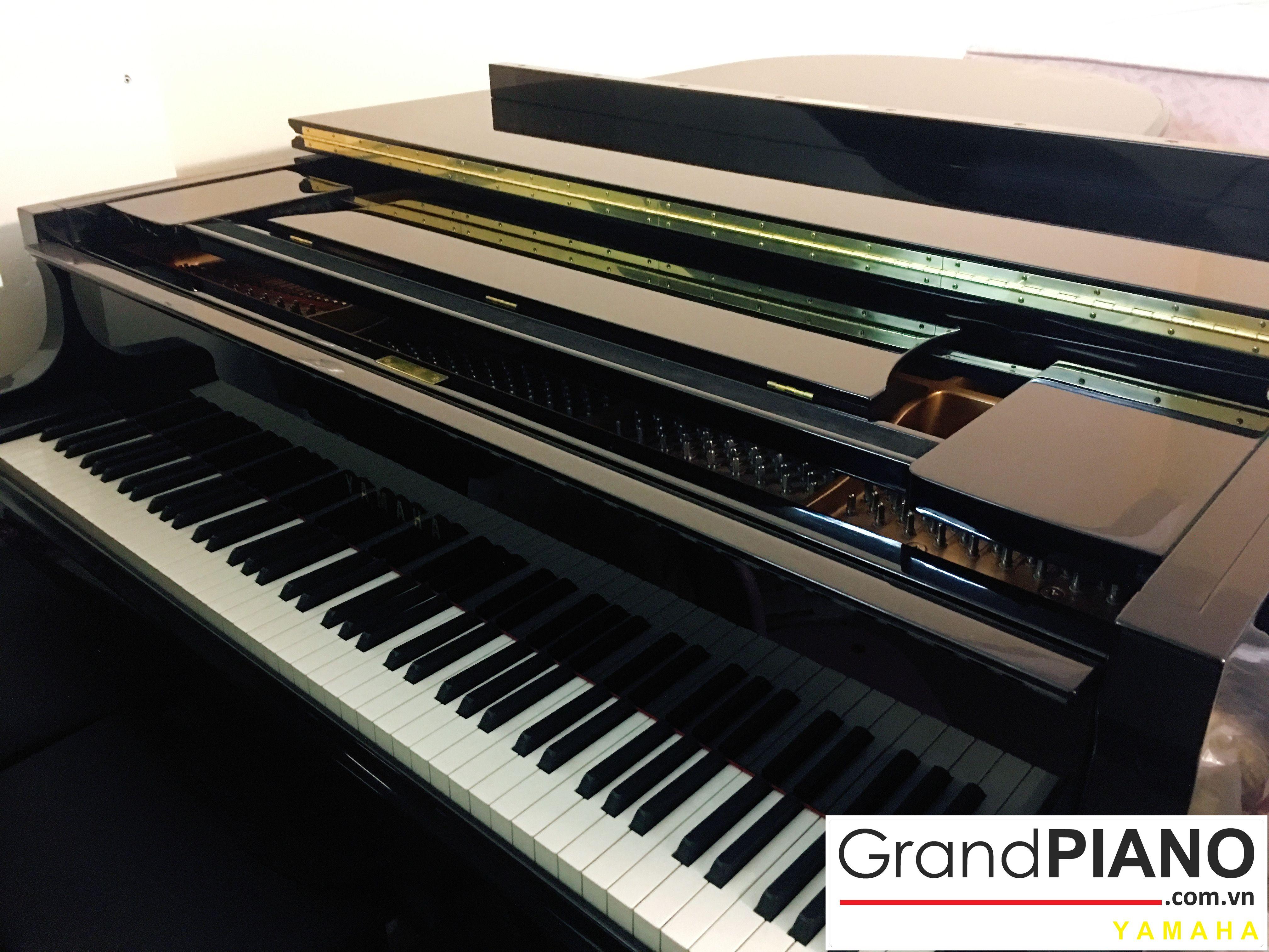 YAMAHA C5 SERI:5473801 ✅ 